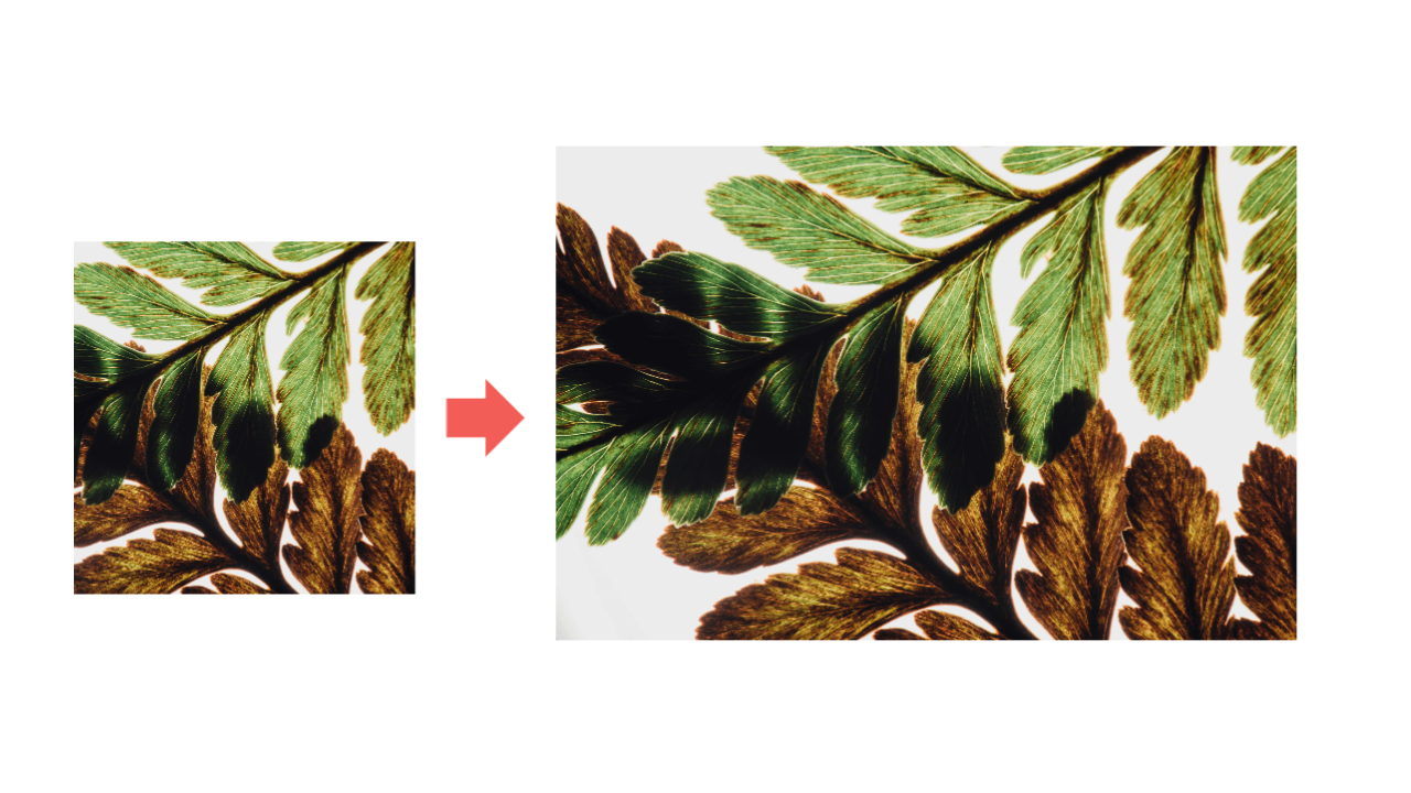 watercolor flowers and leaves