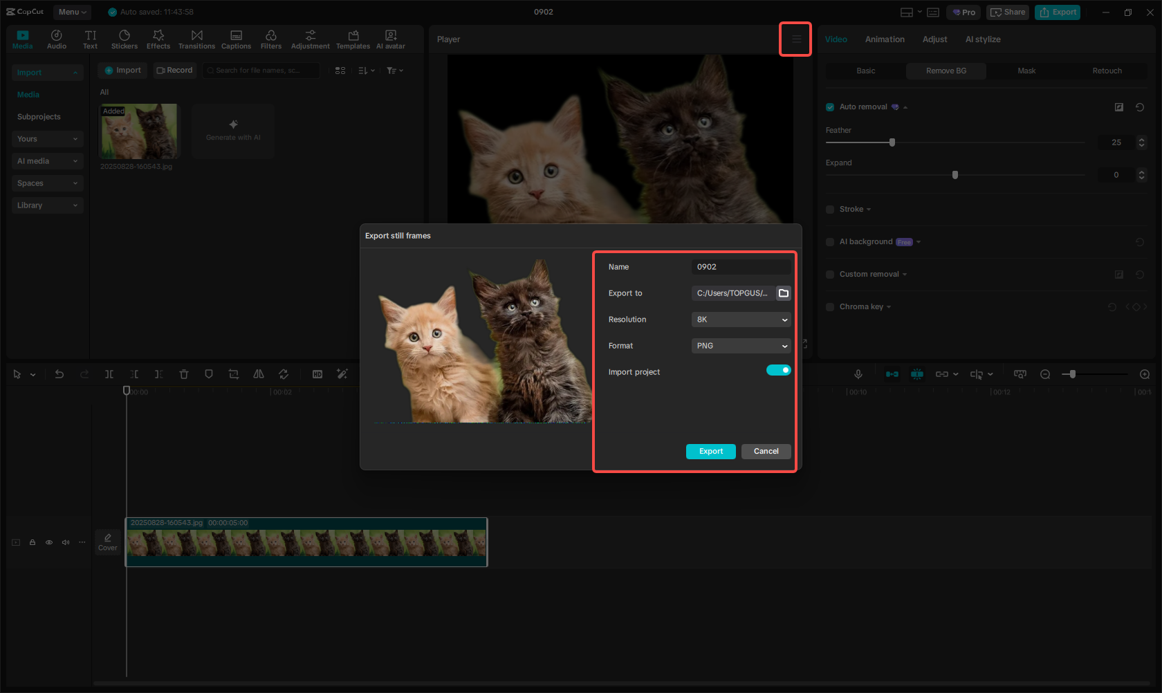 Export the image in PNG