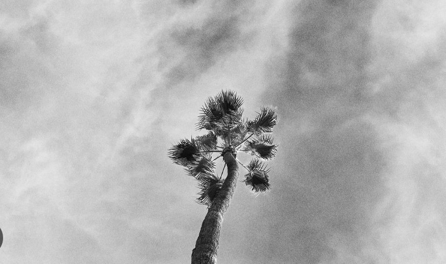 High-contrast cinematic grain