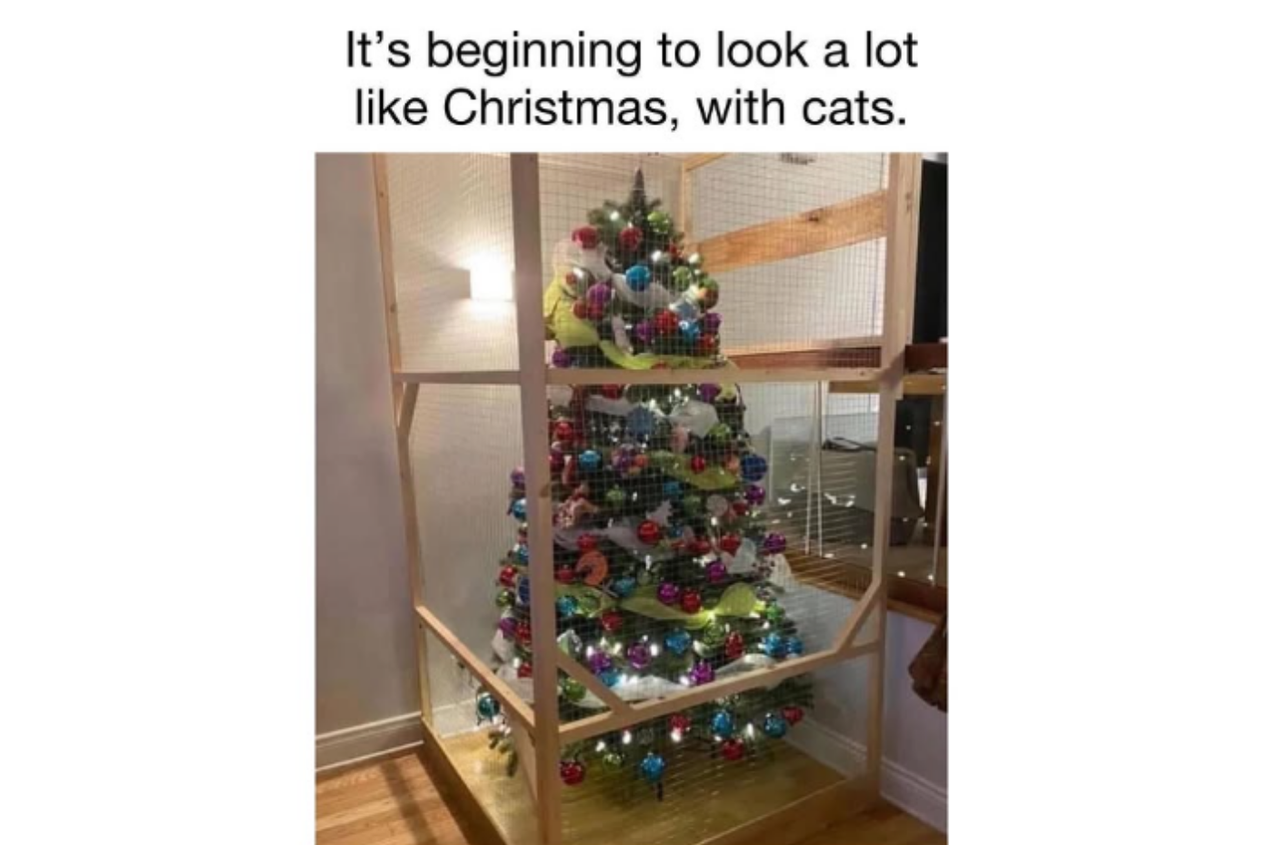 Cat Christmas tree meme playful mischief