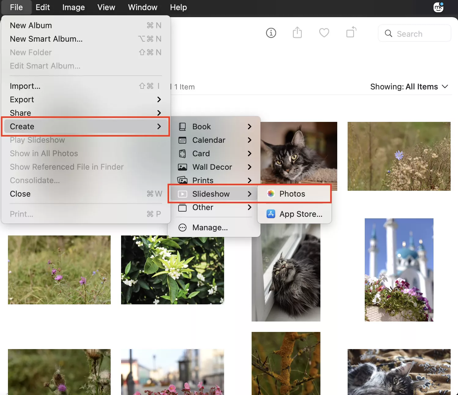 Import and organize photos to create slideshows on Mac