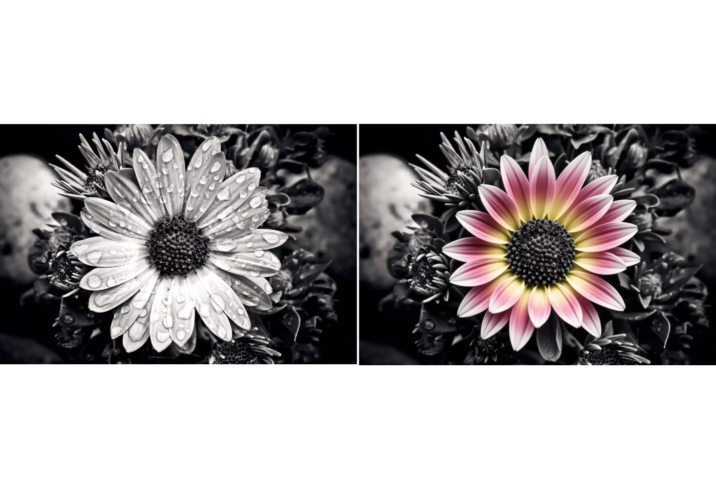 การใช้เครื่องมือ AI ใน n Dreamina เพื่อแทนที่วัตถุ