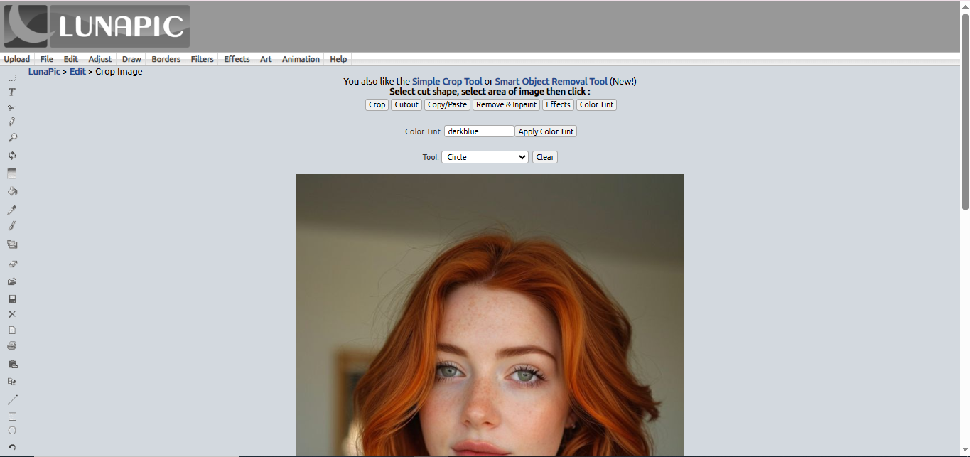 LunaPic - a well-known eye photo editor online for free
