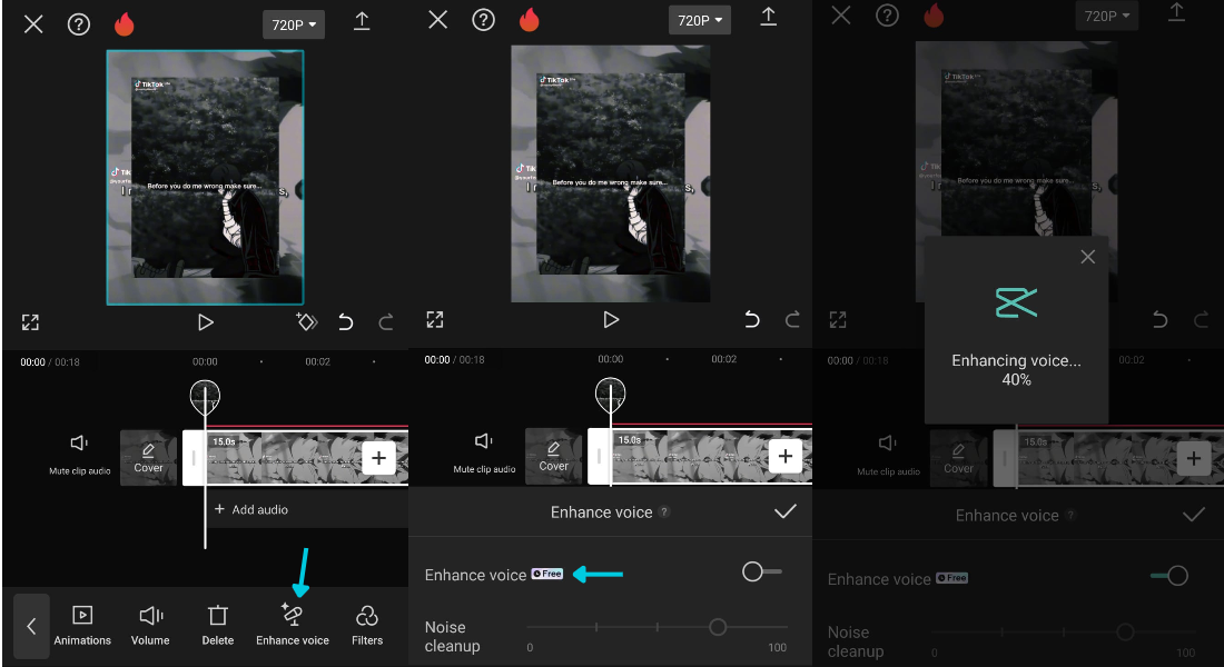 enhanced voice