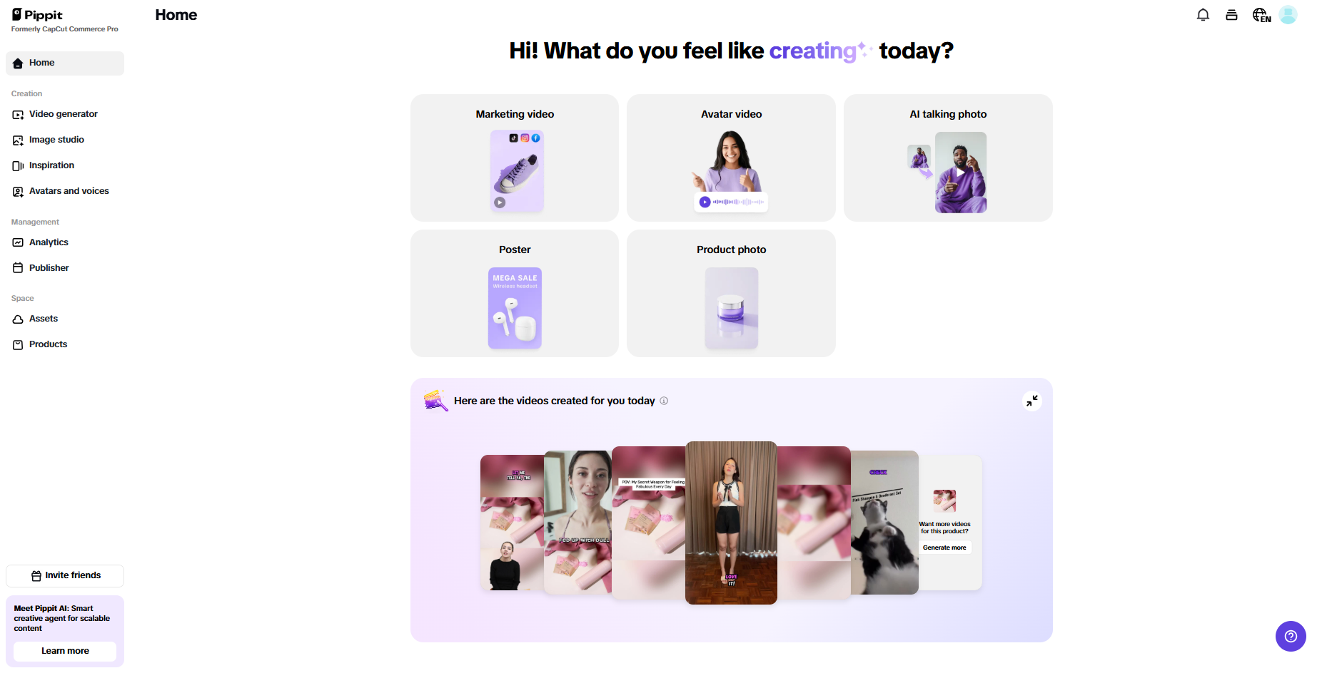 Pippit interface