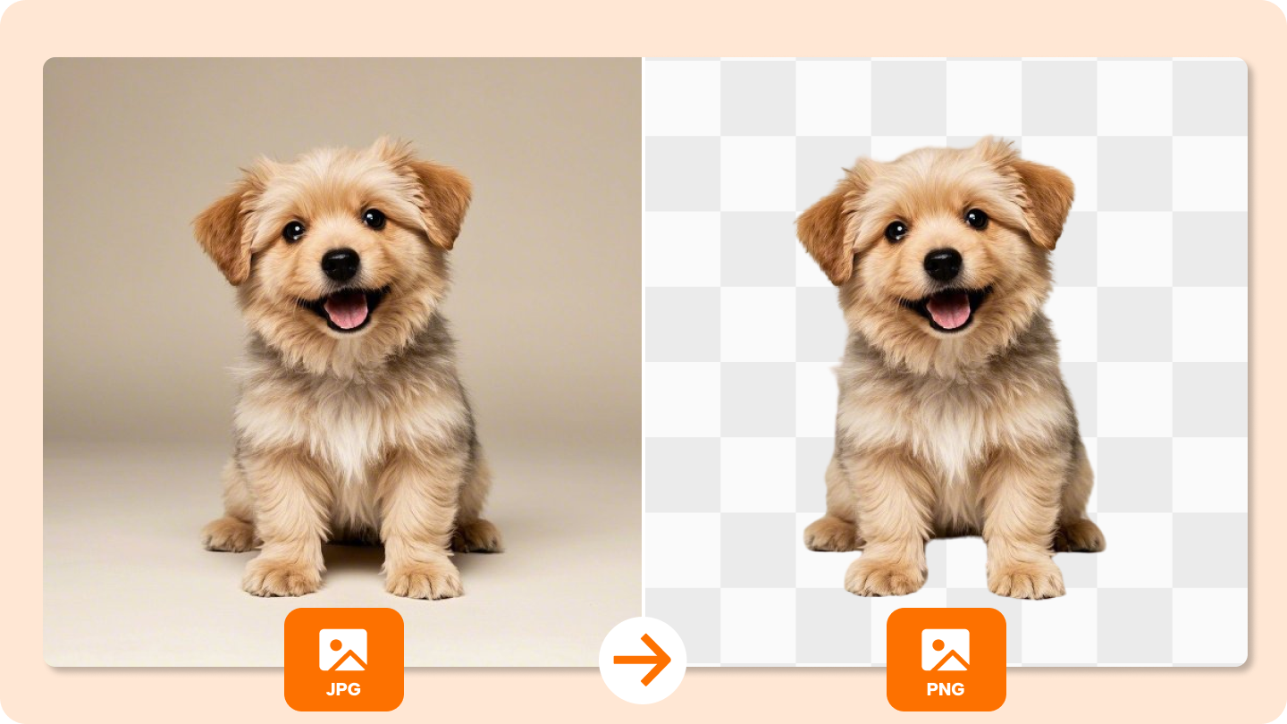PNG in JPG converter