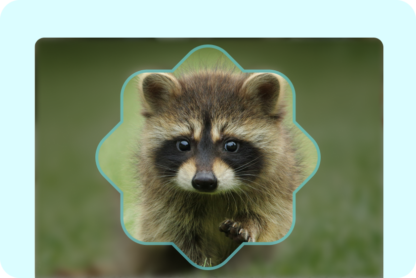  Shape image creations for social media posts