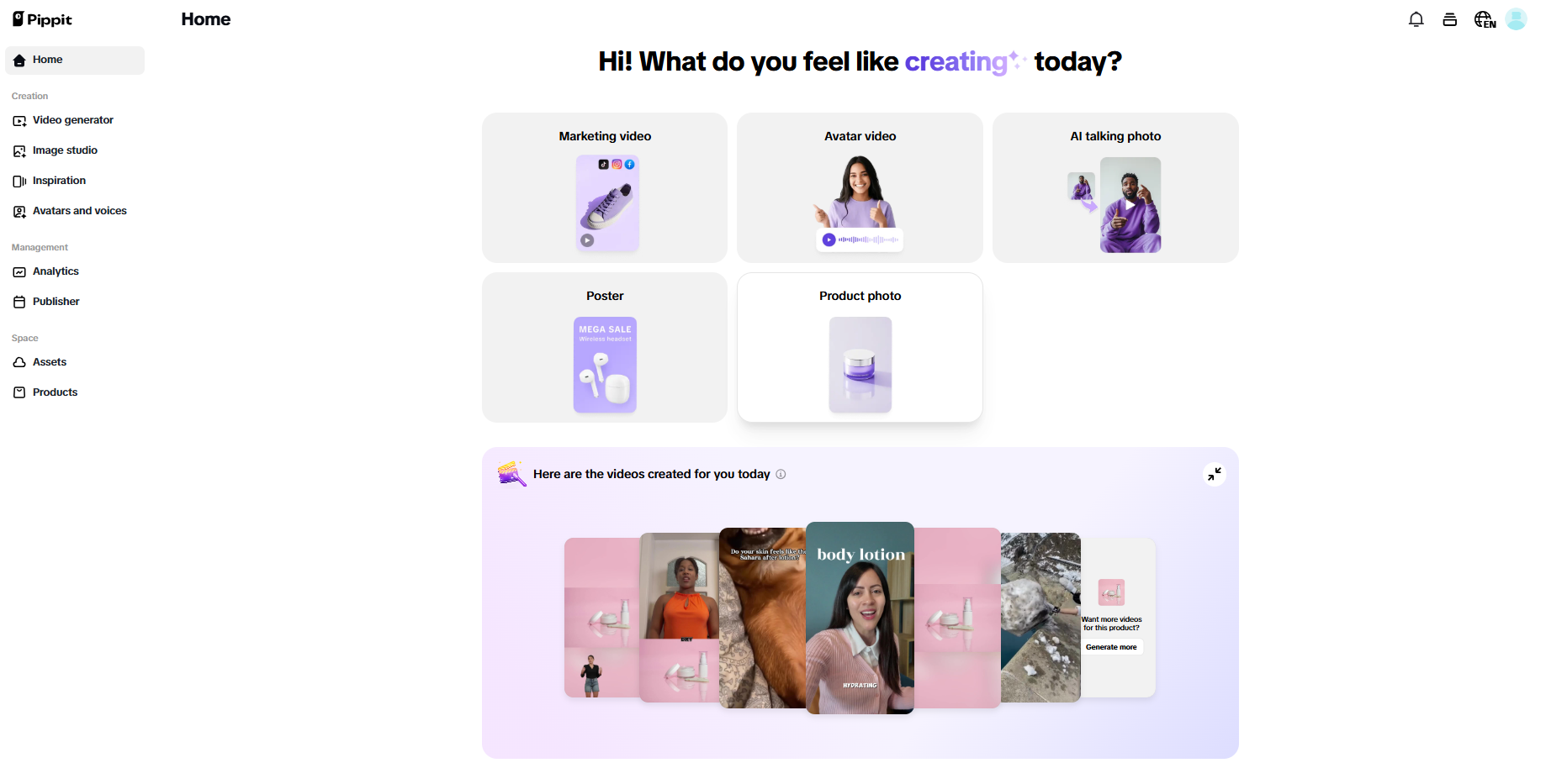 Pippit interface
