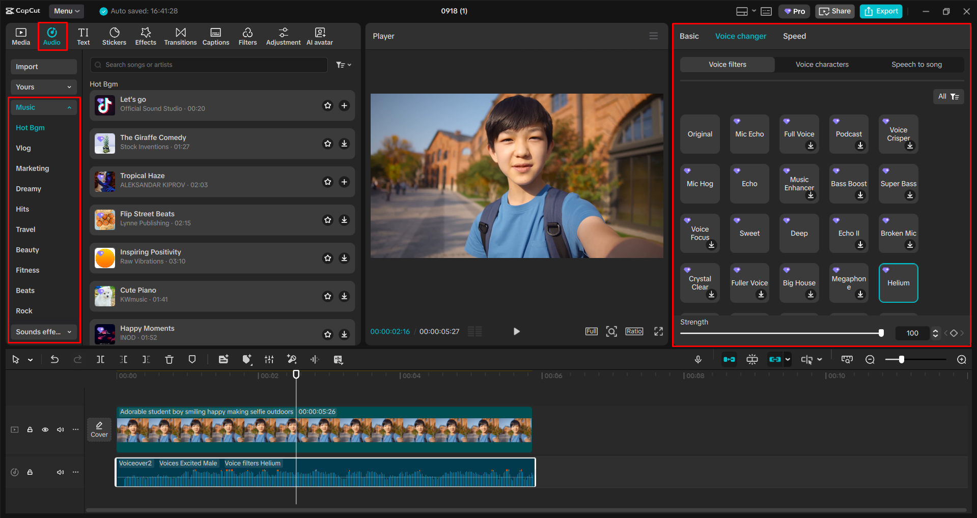 Changing and fine tuning the audio with the CapCut desktop video editor