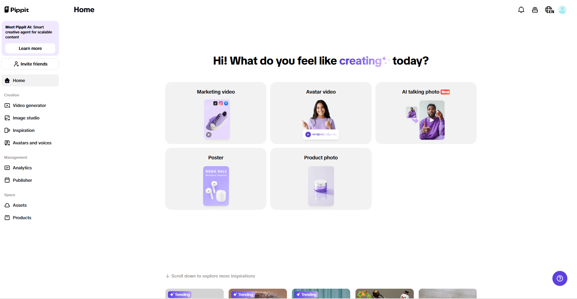 Pippit interface