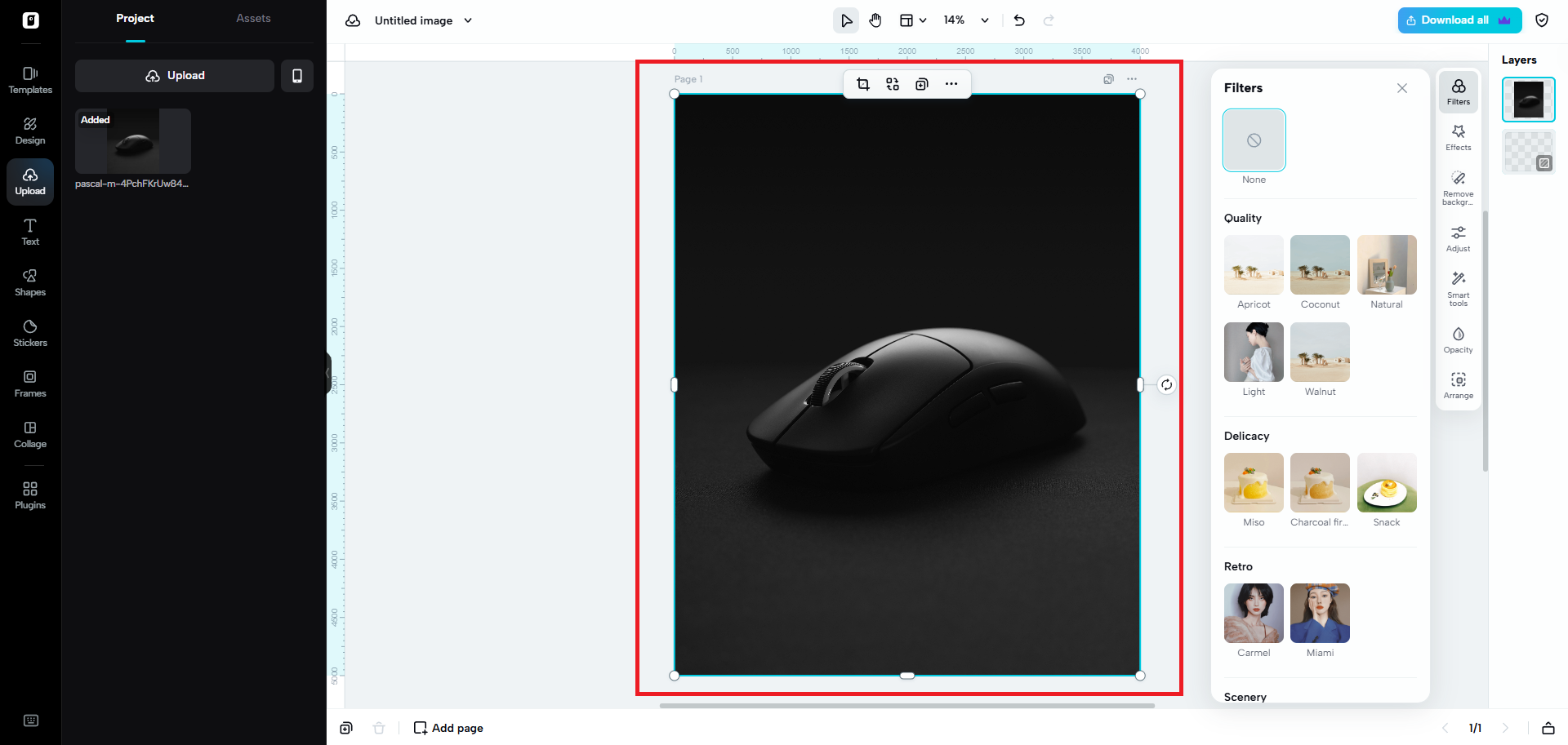 AI product showcase and models