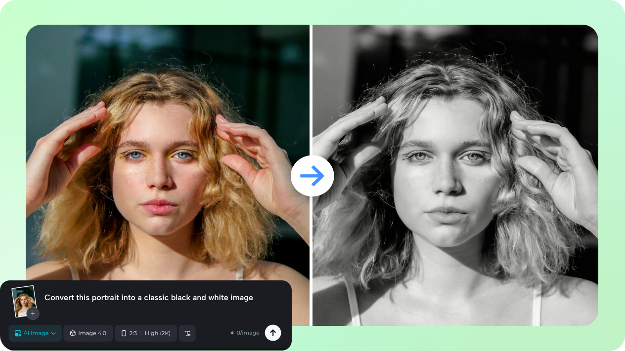 black and white portraits with image