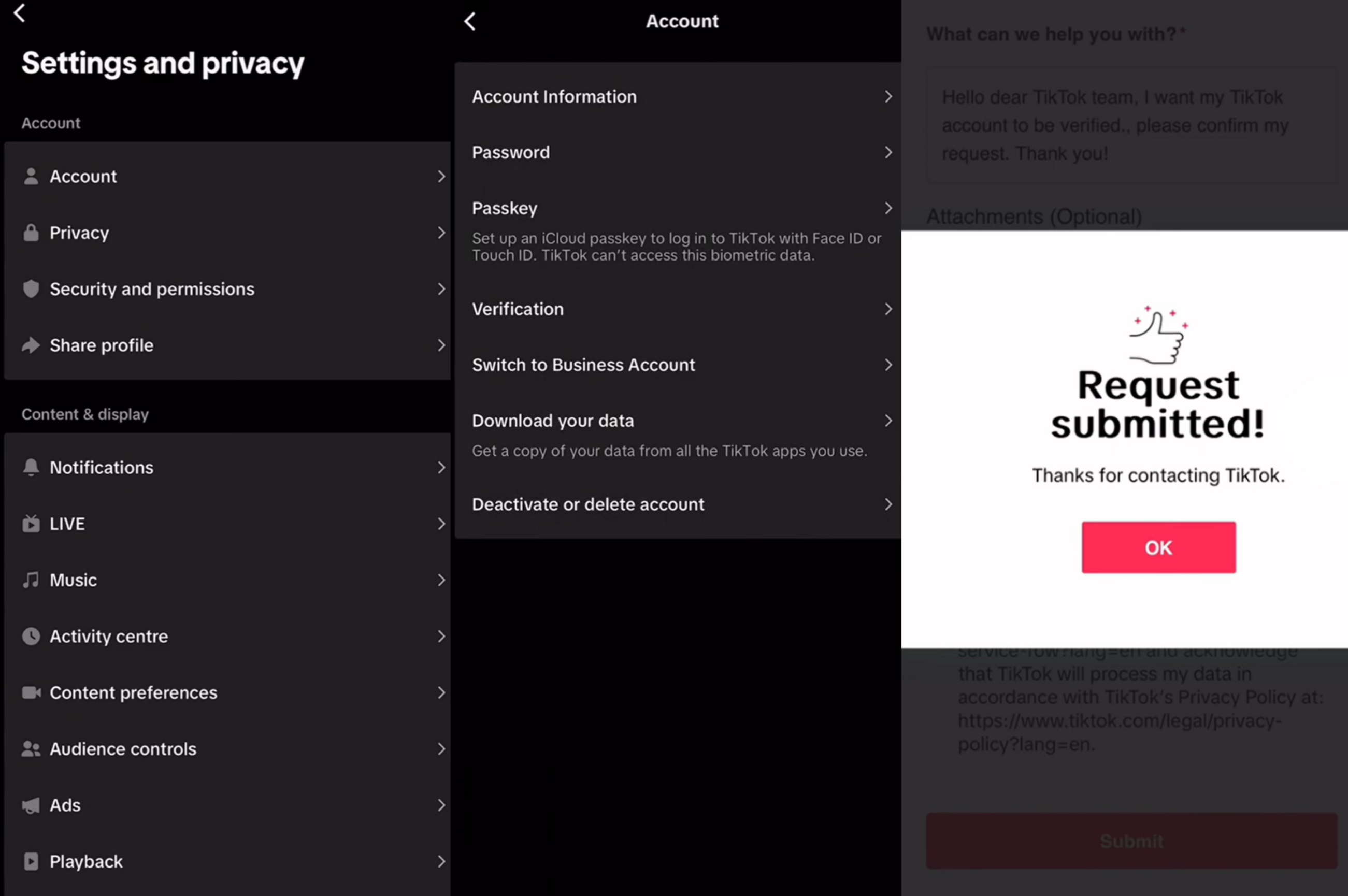 Image showing verified account after TikTok verification form approval