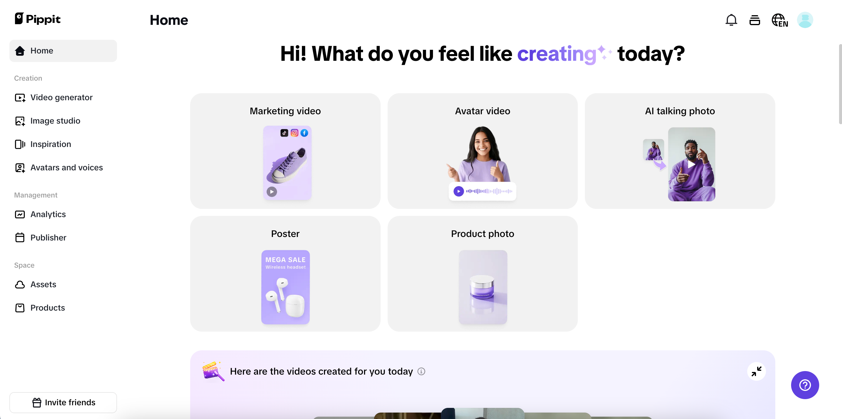 Pippit interface
