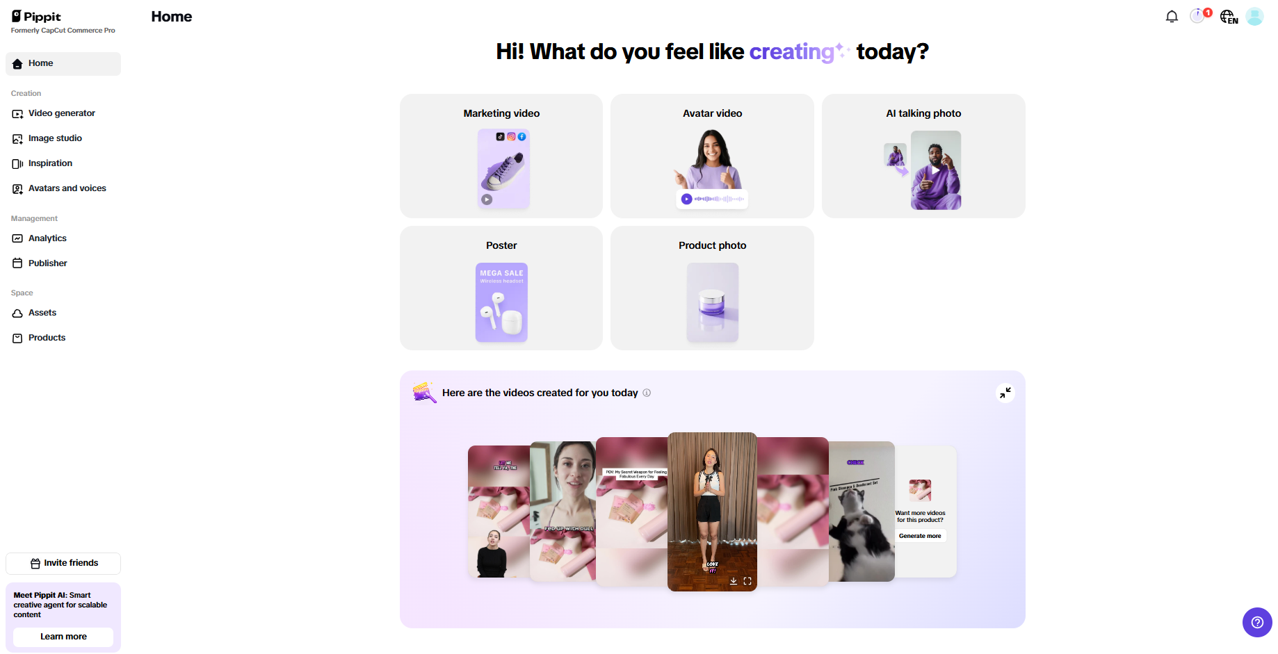 Pippit interface
