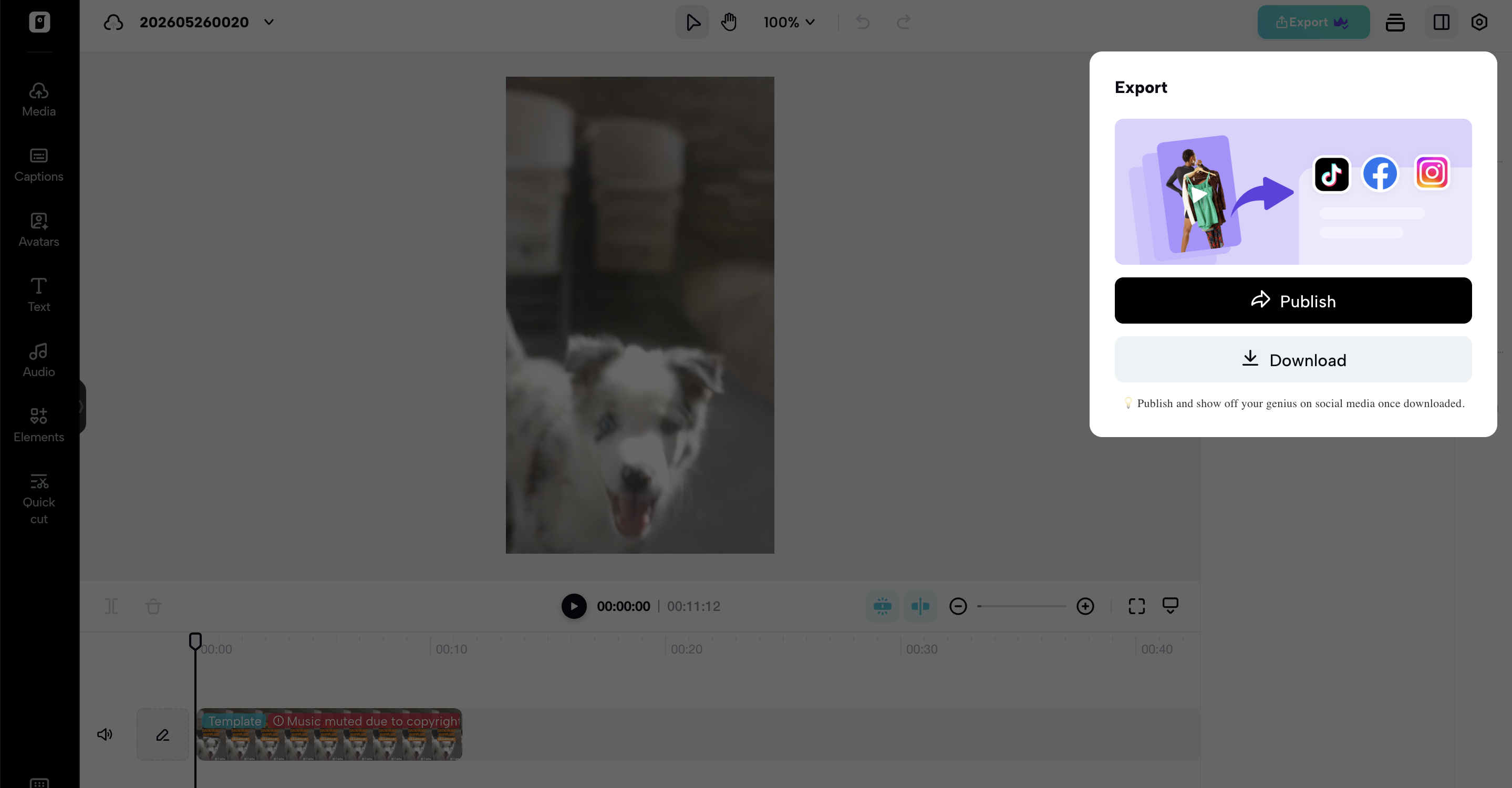 Export & share video