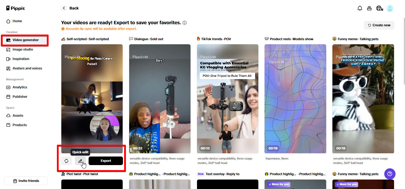 Exporting video from Pippit