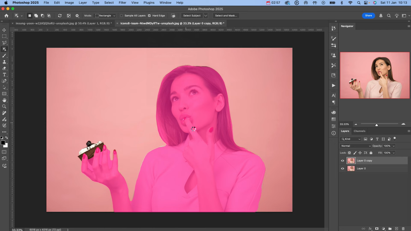 Select the subject in the image