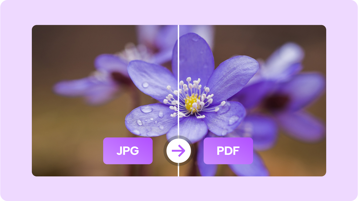 jpg tp pdf converters