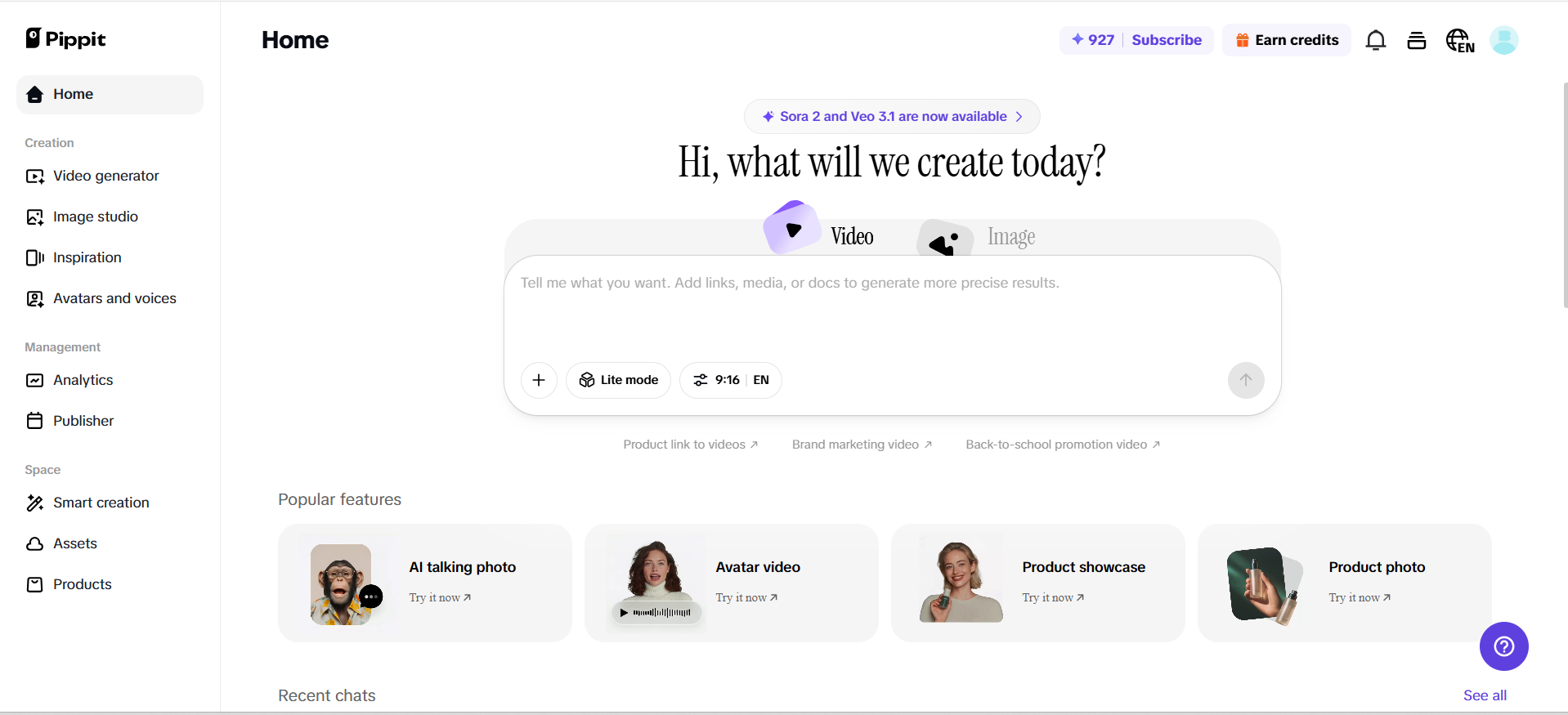 Pippit interface