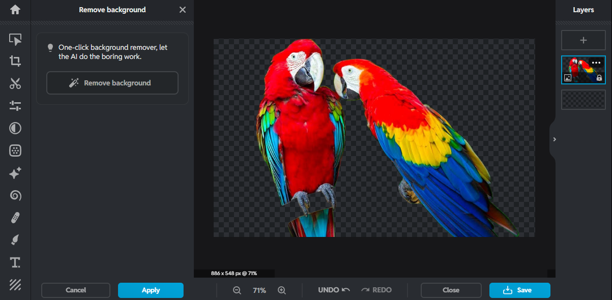 Pixlr image background remover