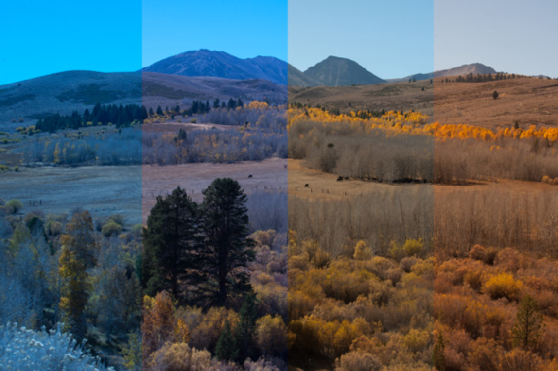 Best techniques for blue hour photography: Adjust the white balance to enhance the blue mood