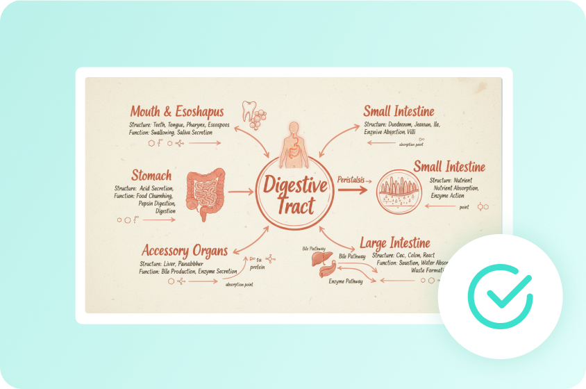  Understand complex ideas faster and with less effort