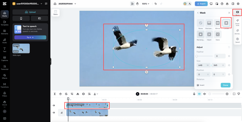 add a Mask to the video