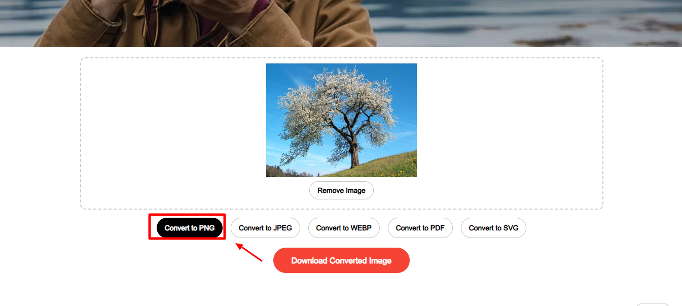 Converting the image into PNG