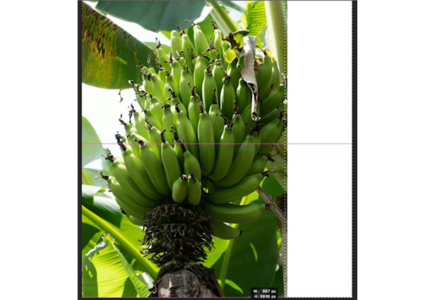 Selecting an area for the generative fill