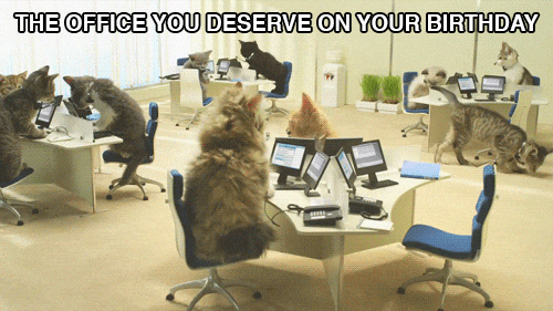 Imagen que muestra una idea divertida de meme de cumpleaños con gatitos en una oficina.