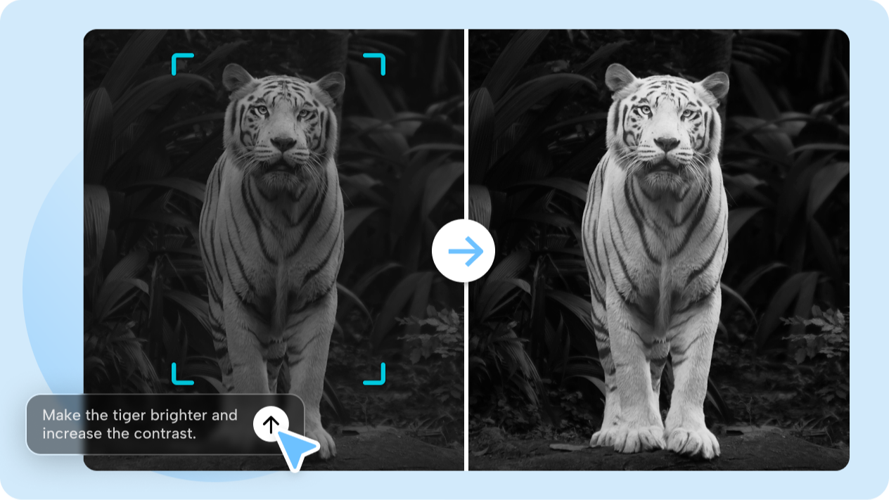  Refine with Interactive editing