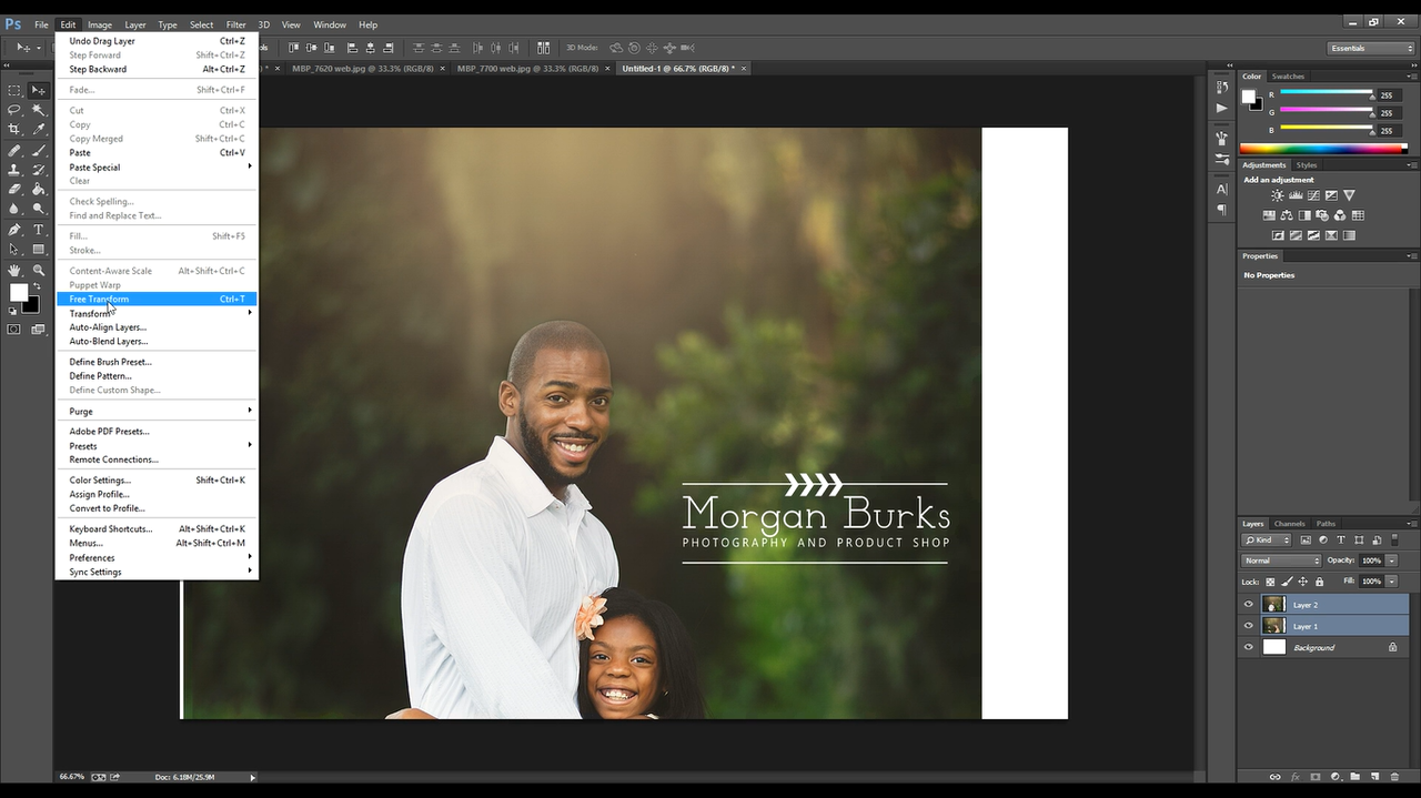 Resize and align using the Free Transform Tool