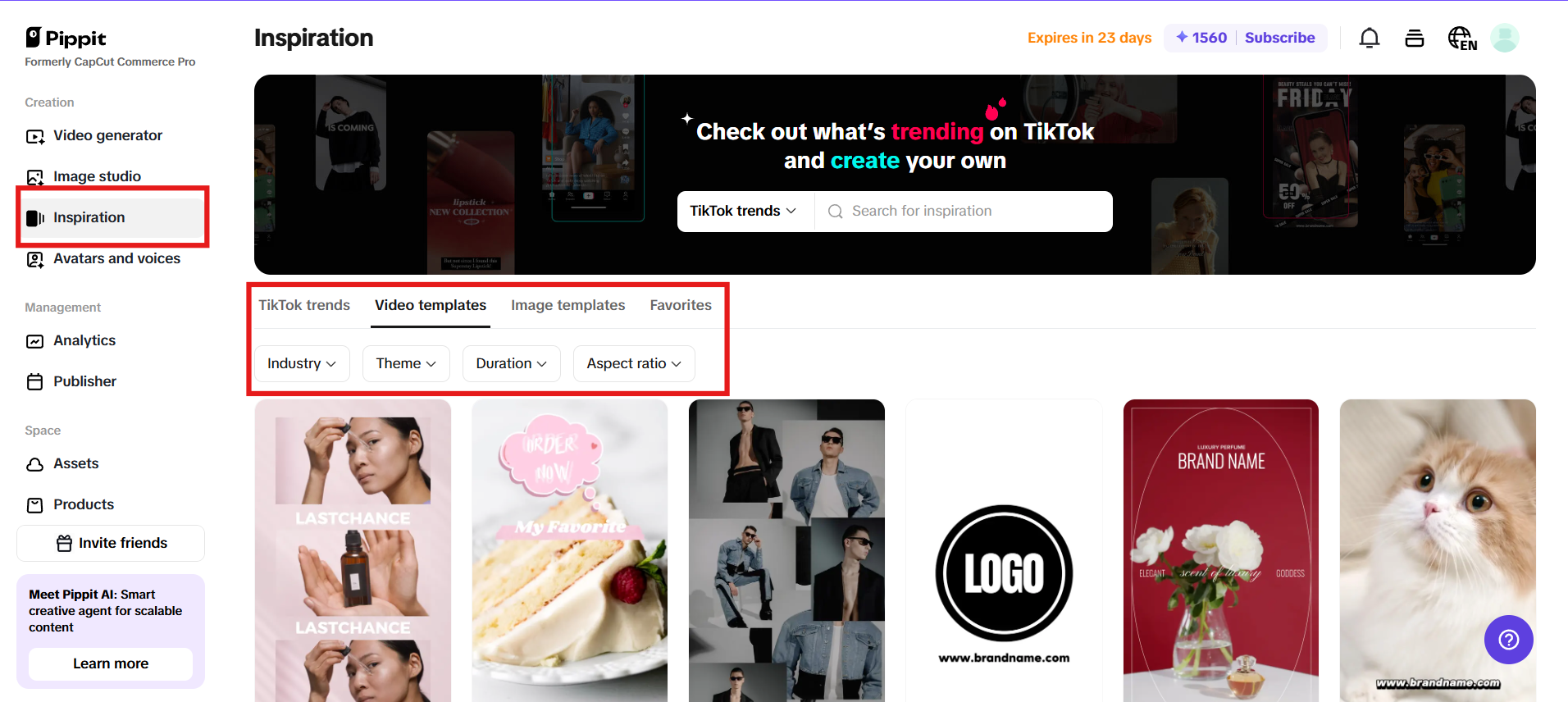 Vast template options following customer insights