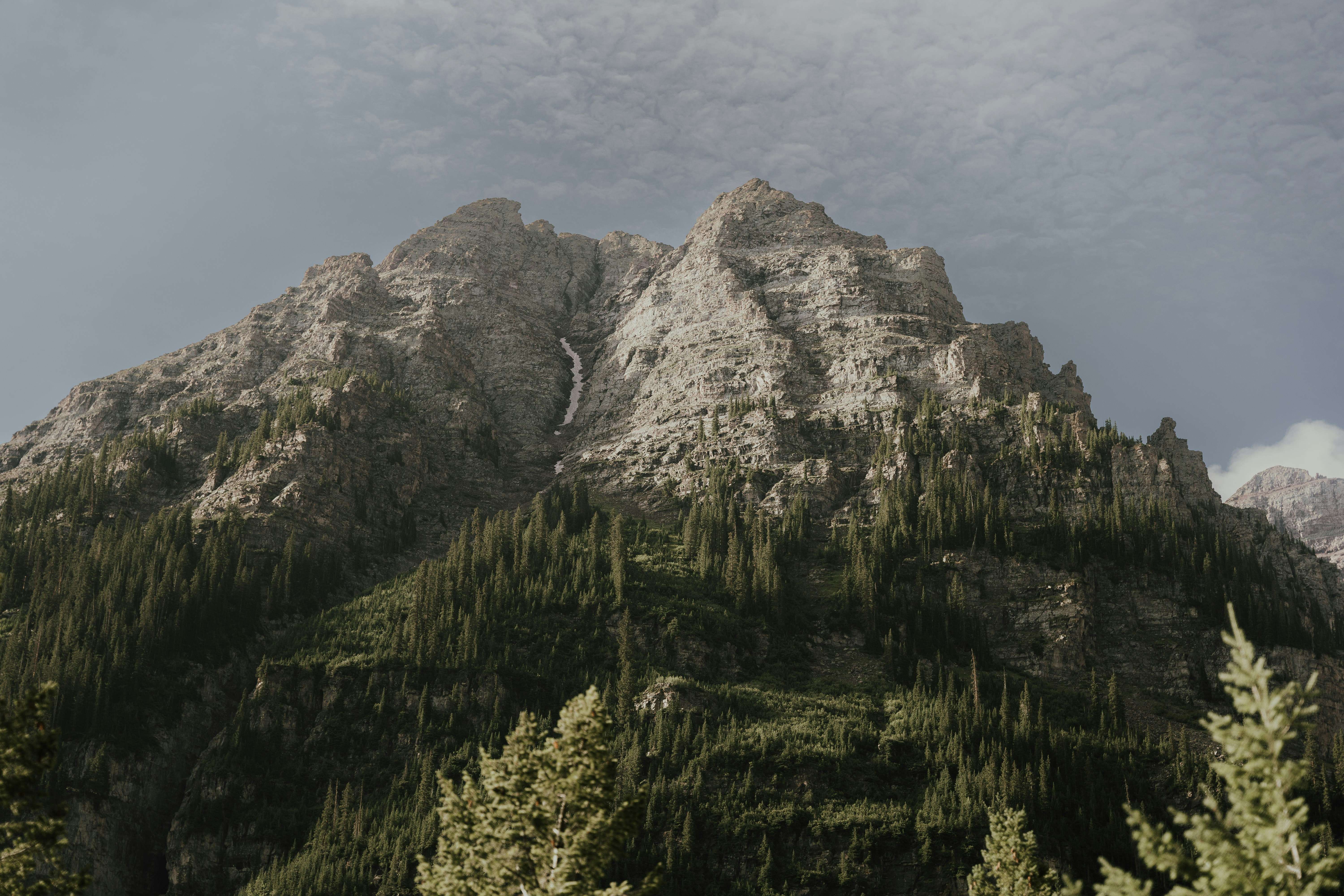 Example of a realistic imagePicture: Unsplash
