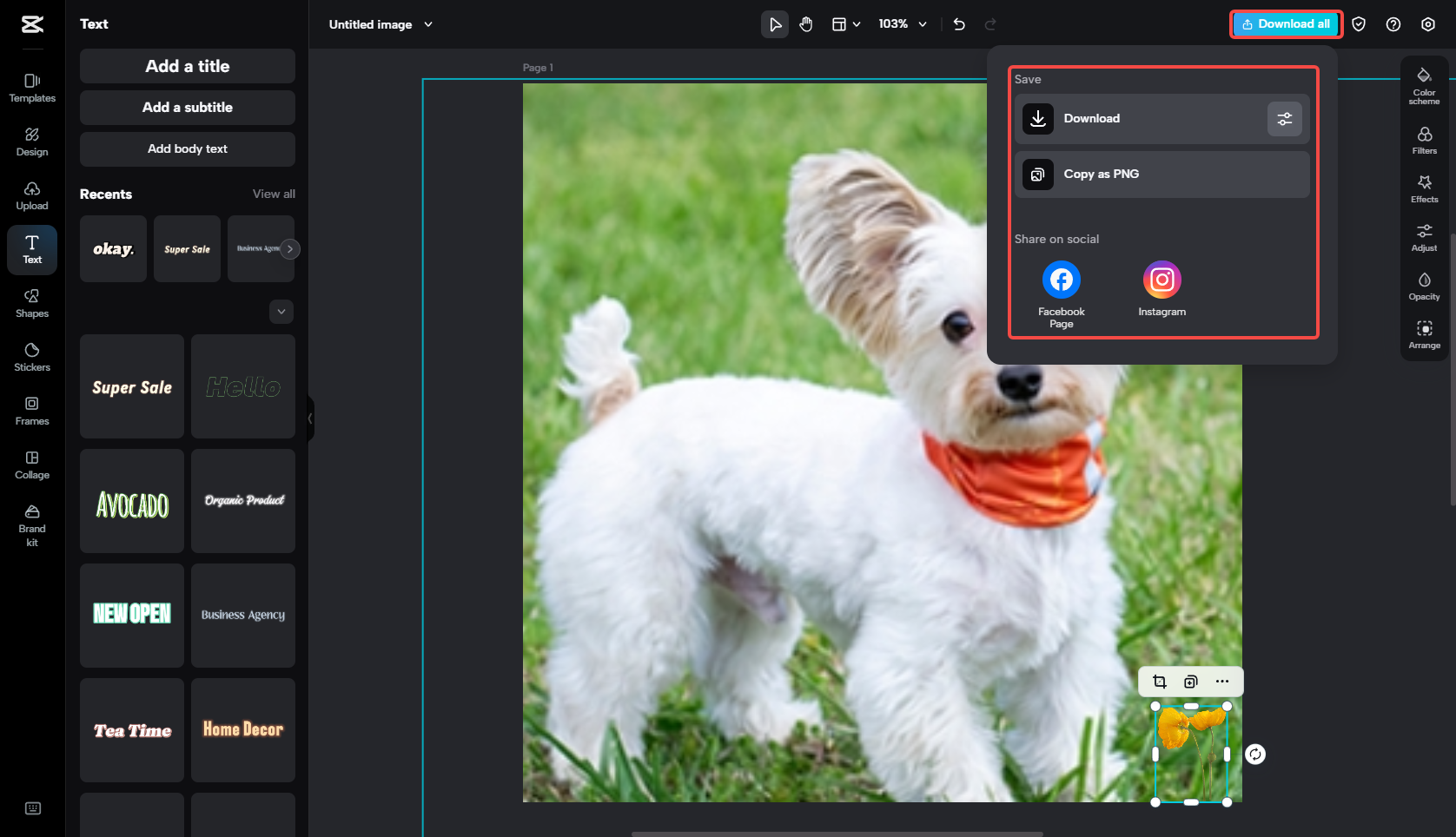 編集した画像をエクスポート