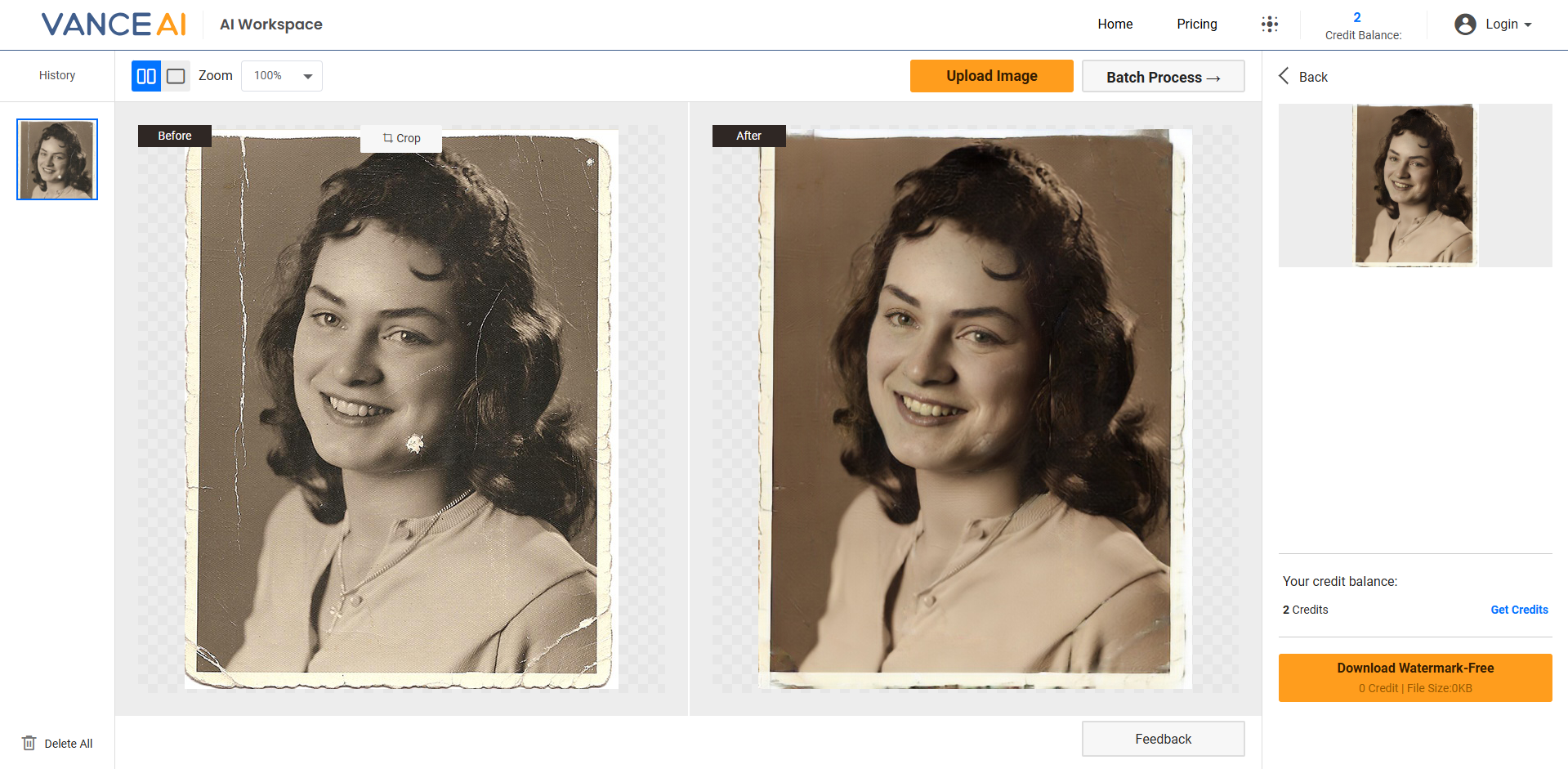 Editor interface of VanceAI photo restorer