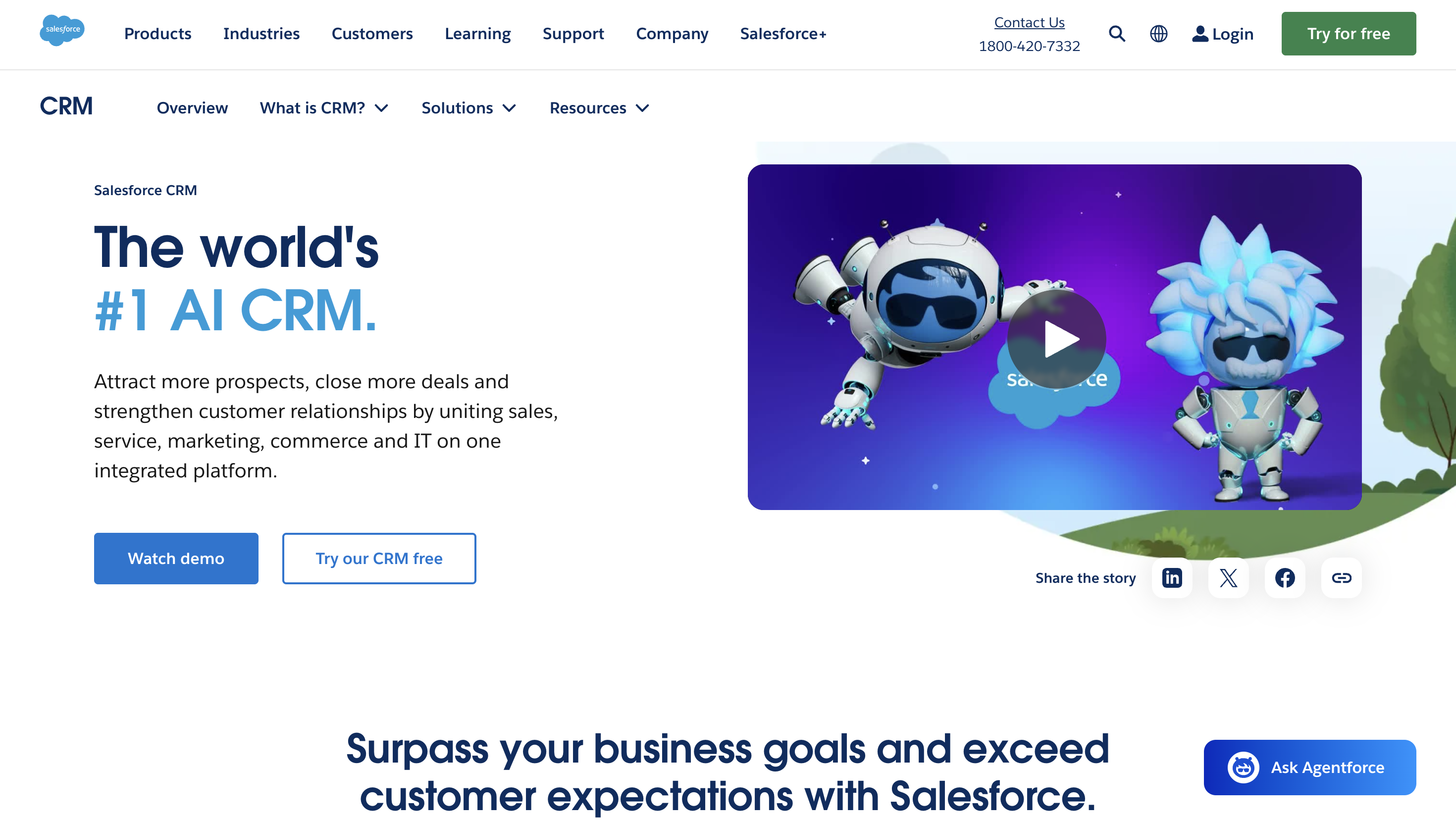Salesforce interface