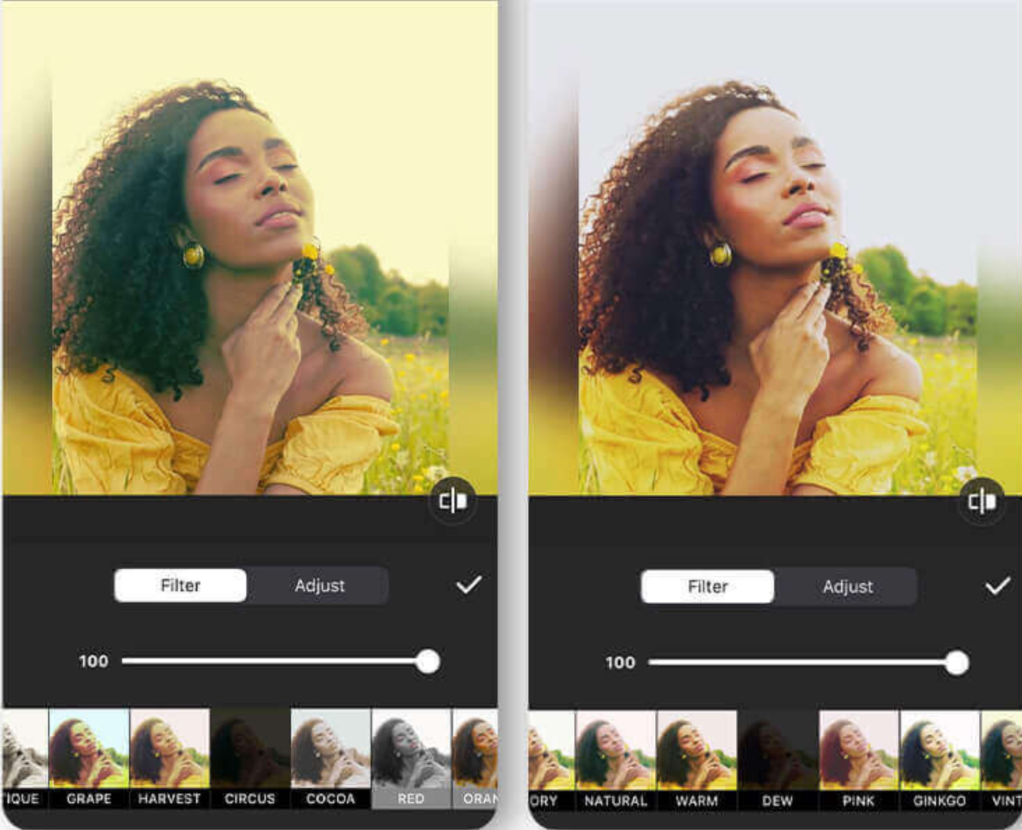 Interface d'InShot - un autre éditeur de visage gratuit pour la vidéo sur mobile