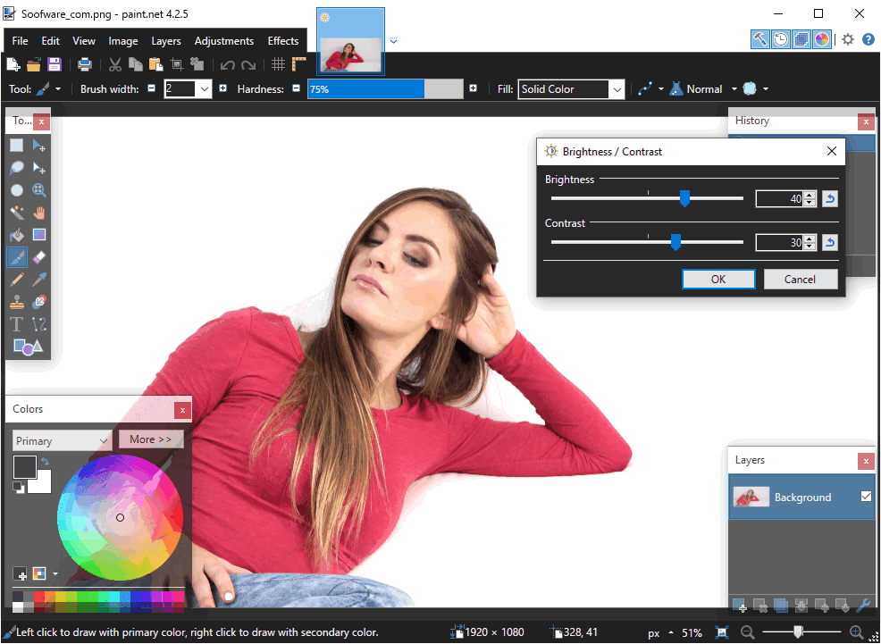 Interface of Paint.NET - a funny face editor software for PC