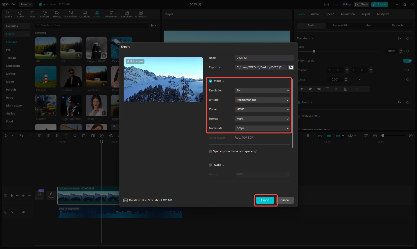 Export the video