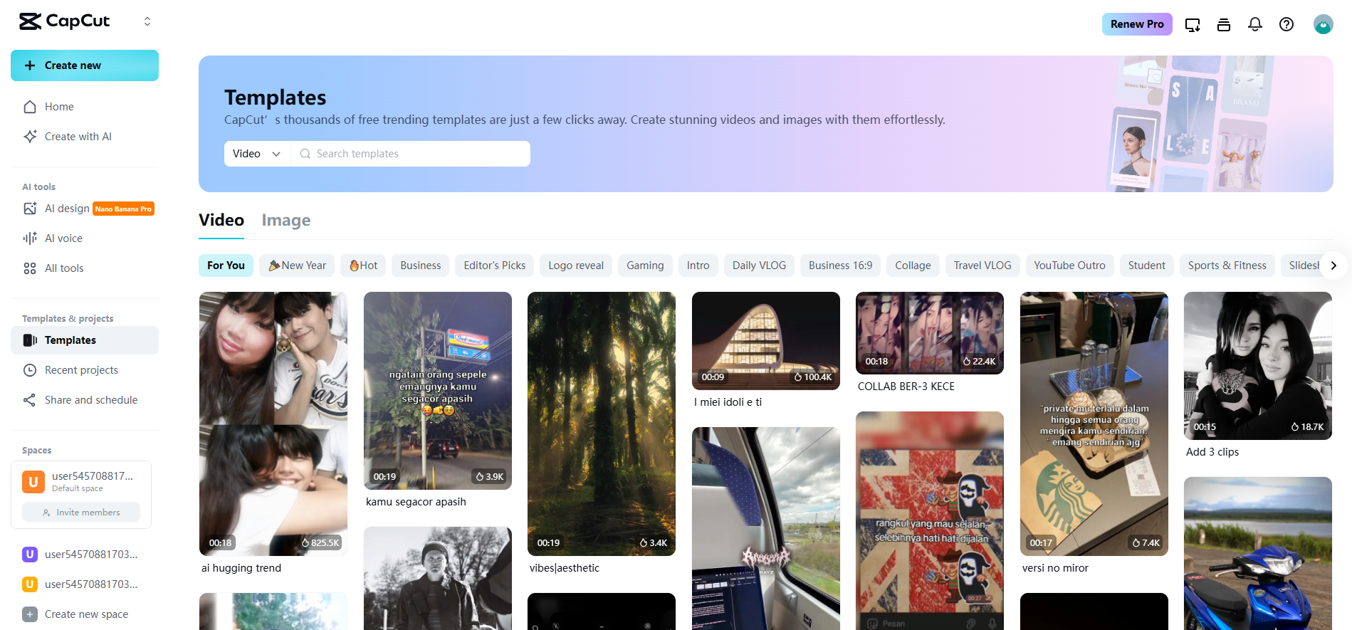 Video templates for the web version