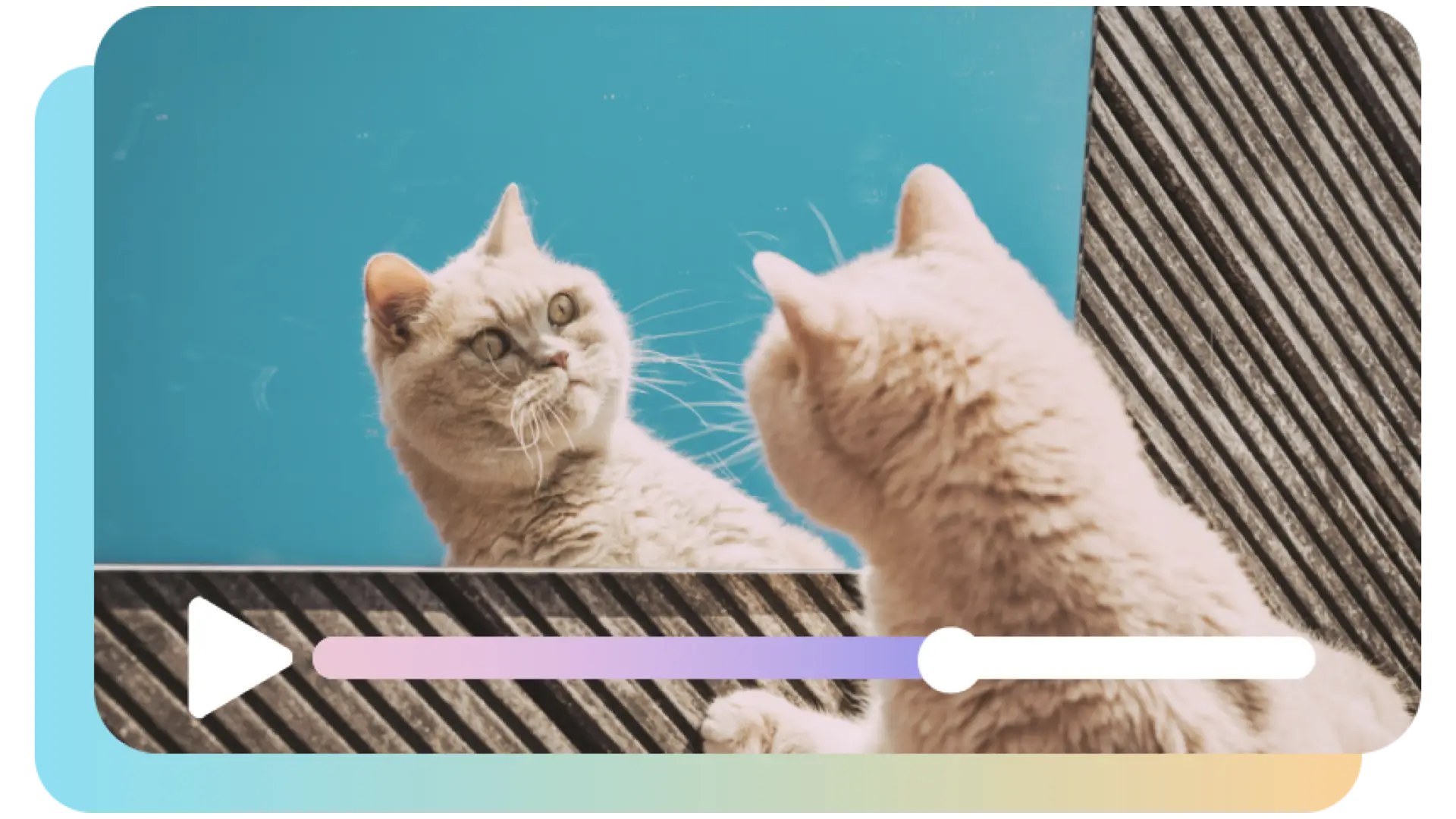 Transformar um trecho específico de vídeo em GIF