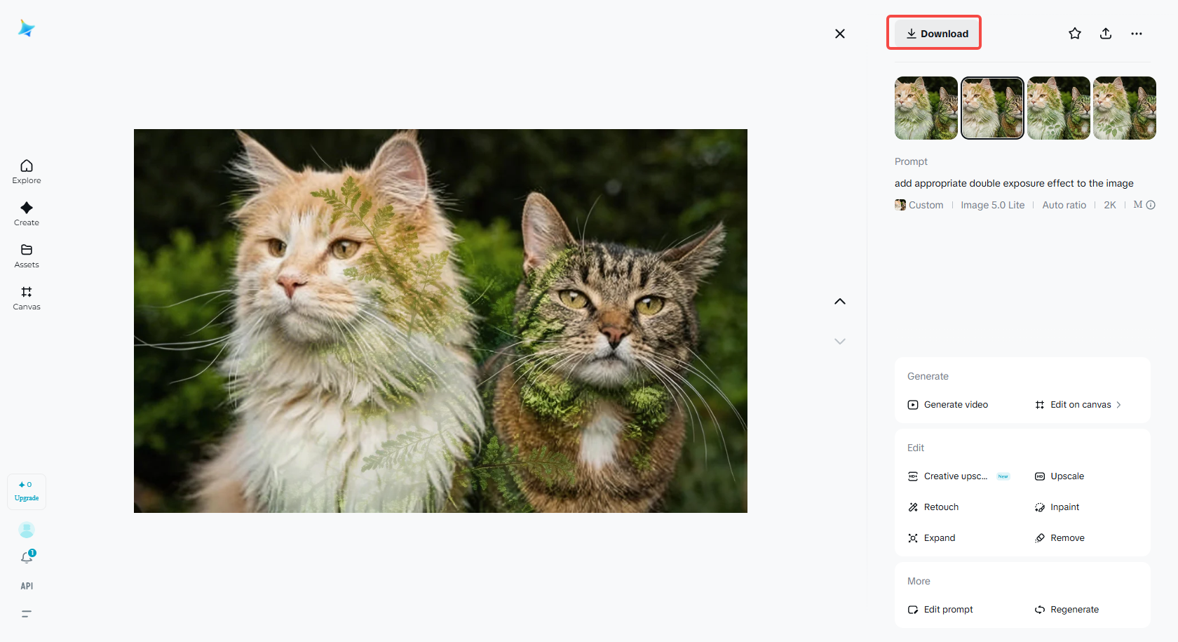 Download double exposure photography