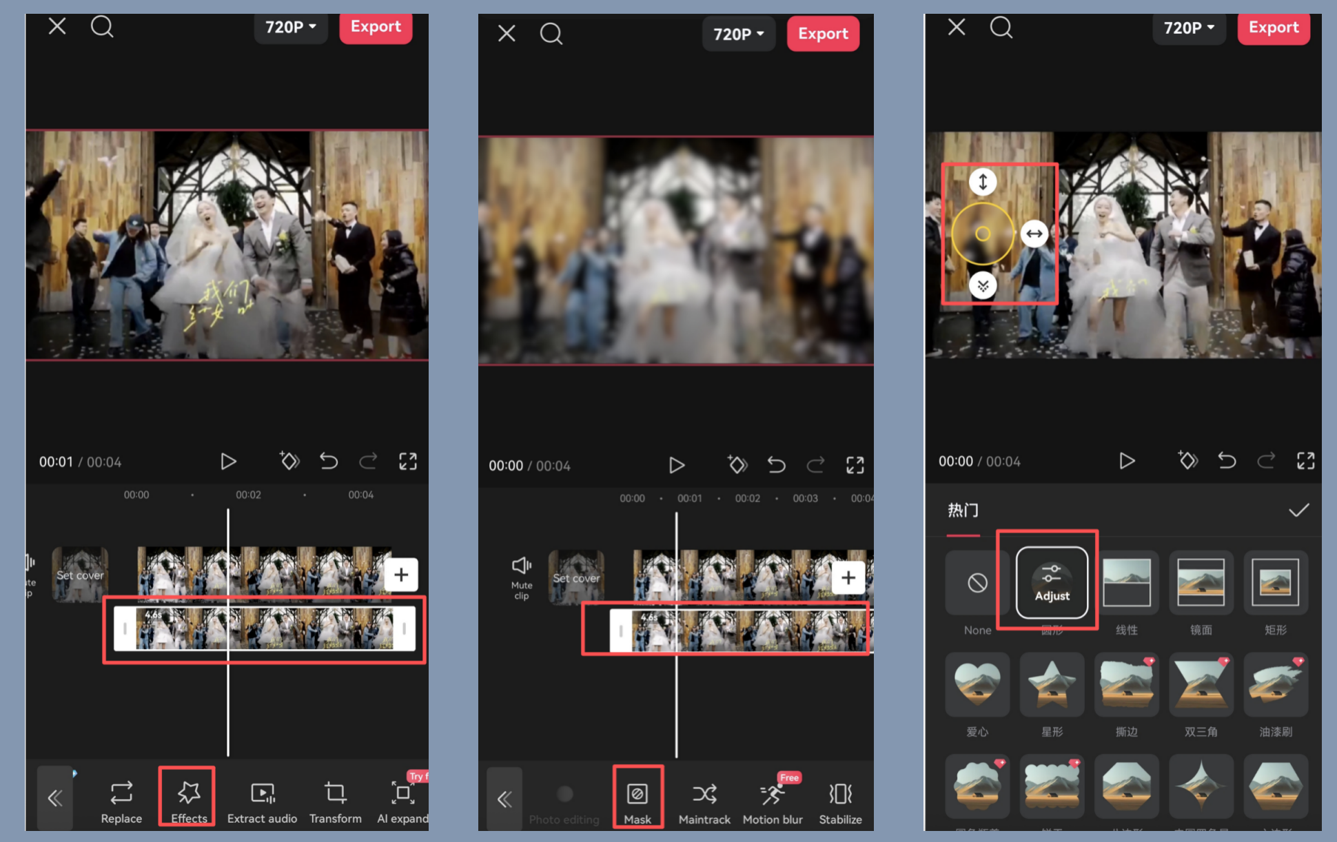 add face blur and mask